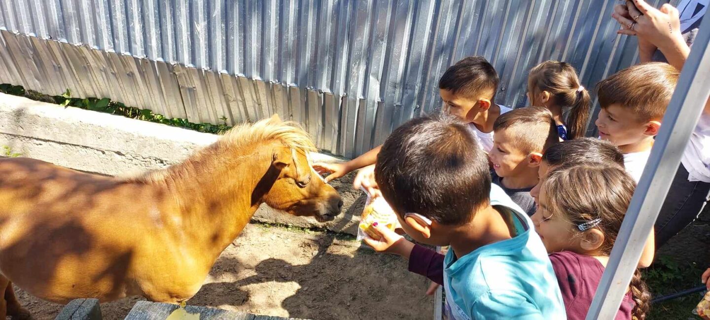 Skupinka detí hladí poníka