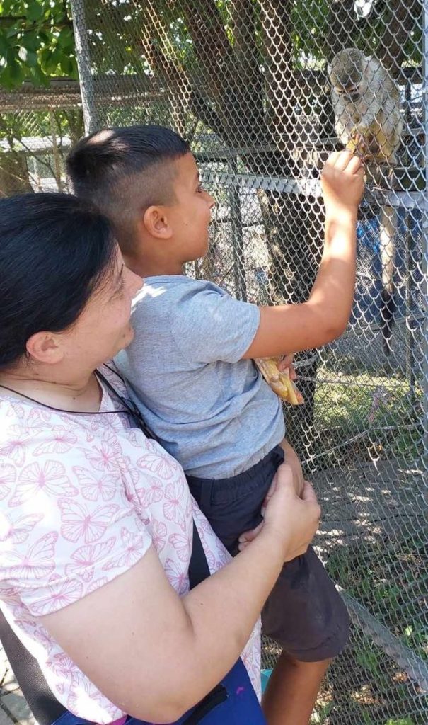 Chlapec kŕmi opičky