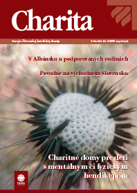 Charita 3/2008
